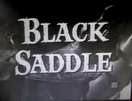Black saddle complete - saddle, series